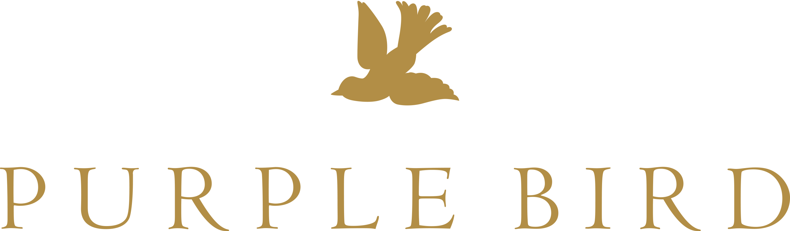 Shop Purple Bird - Luxury Gifting
