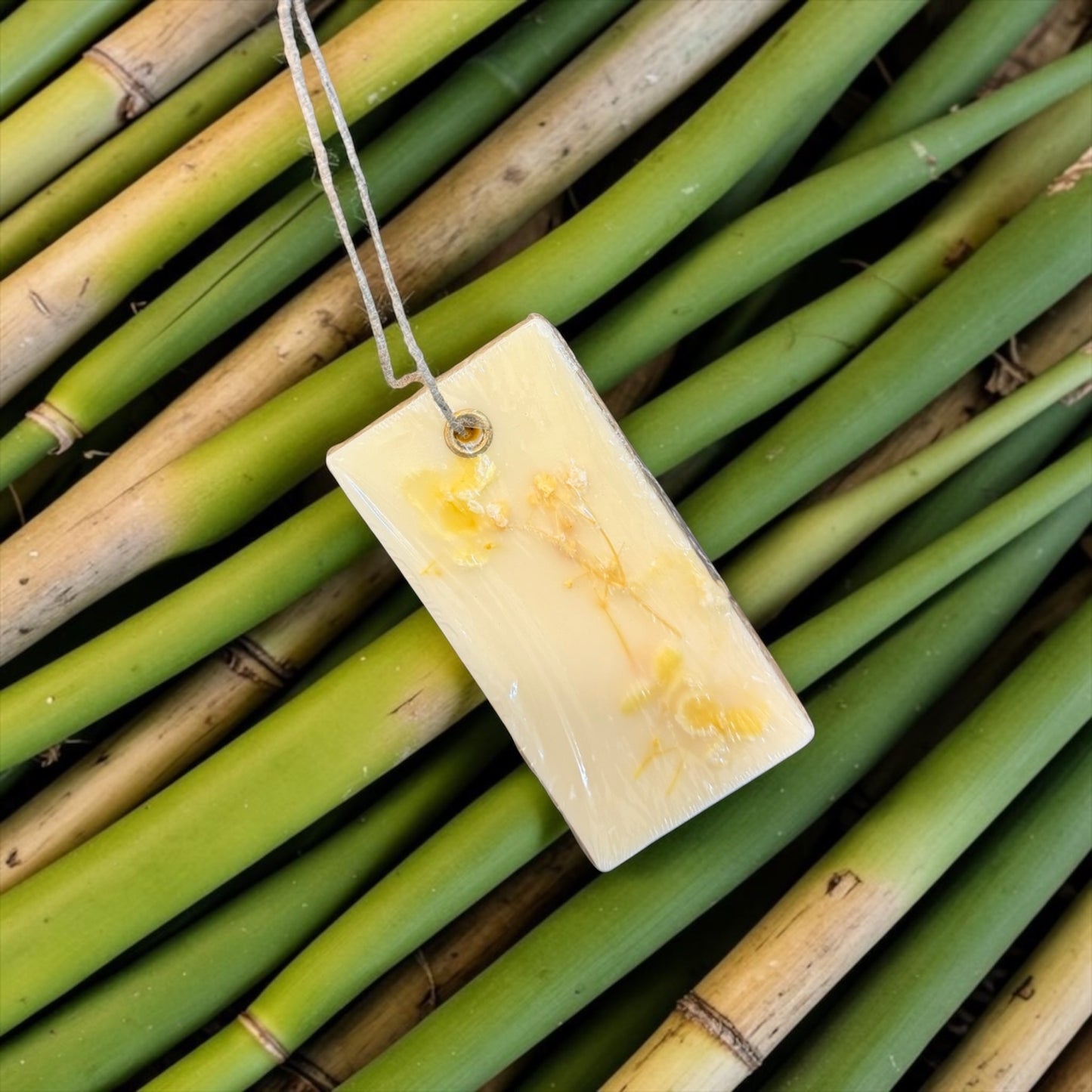 Purple Bird Pushpavatika Luxury Wax Tablet - Lemongrass (Set of Two)