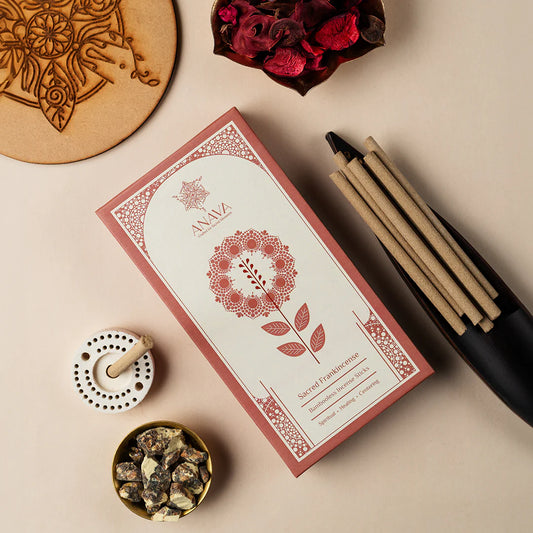 House of Anava  Sacred Frankincense Bambooless Incense Sticks - Aroma of Calm (Pack of 3)