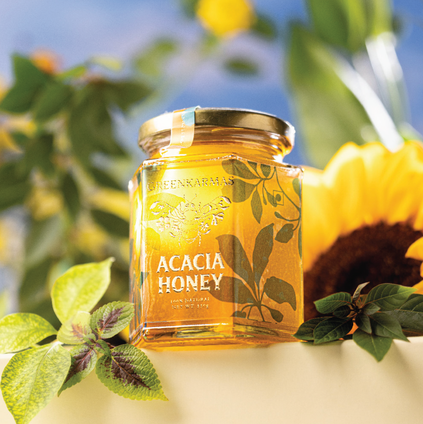 Greenkarmas Acacia Honey (350g)
