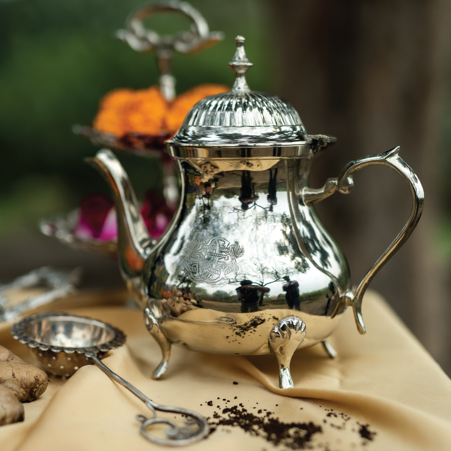 Purple Bird Silver Plated 'Maharani' Tea Kettle